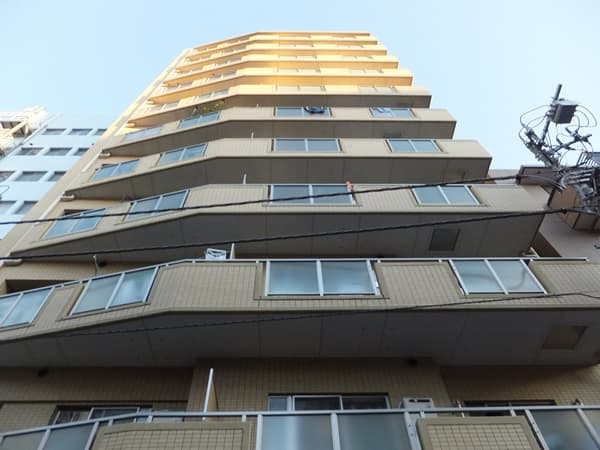 ドメイン入谷ステーションプラザ 1