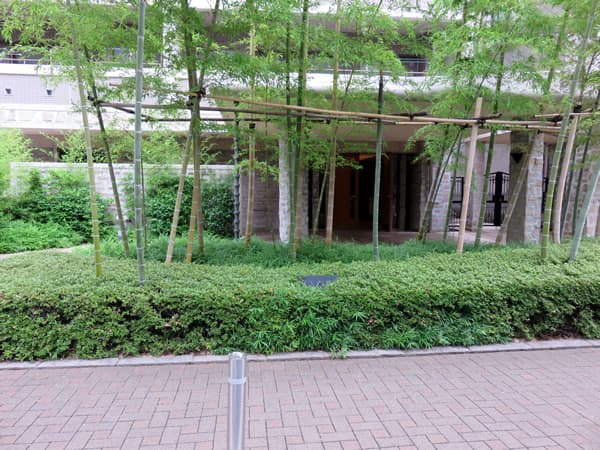 コスモ大崎ツインフォルムマーベルコート 15