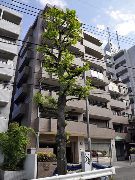 日神パレステージ大倉山 5