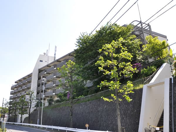 ニッコーハイツ三ッ池公園 3