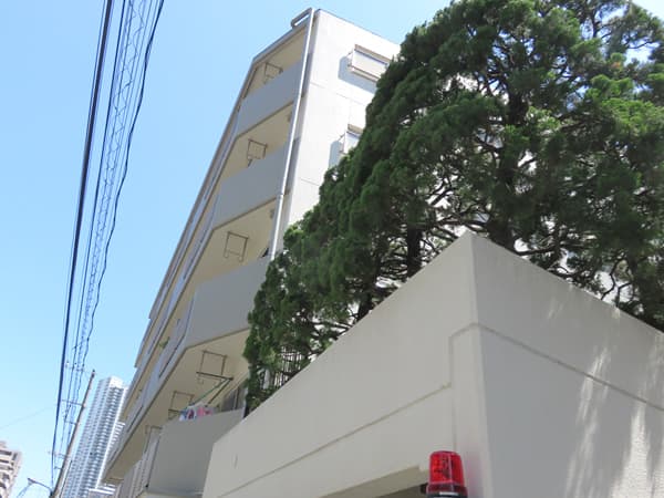 エンゼルハイム豊洲 9