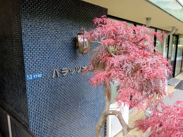 パラッツオ赤坂 13