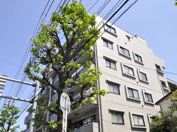 ビッグヴァン三ッ池公園 3