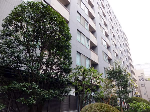 コスモ上野パークサイドシティ 3