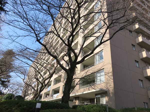 エステスクエア小田急相模原ステージ1 12