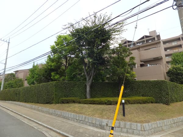 ヒルズアスパイア6号棟 3