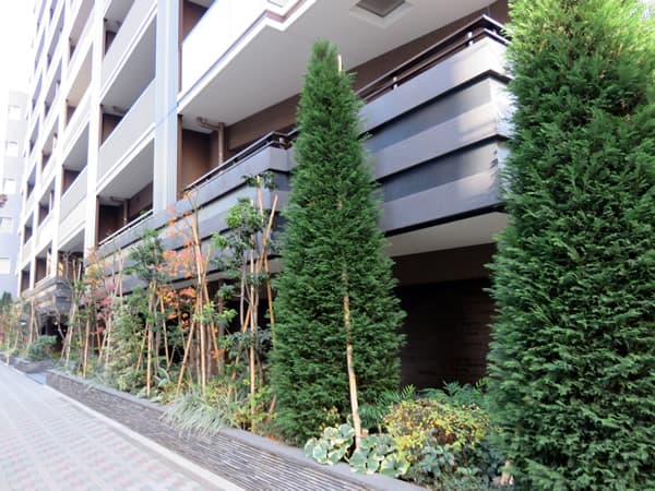 ザ・パークハウス日本橋蛎殻町レジデンス 12