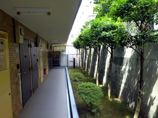 ライオンズマンション相武台第3 5