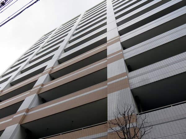 アデニウム小田急相模原 14