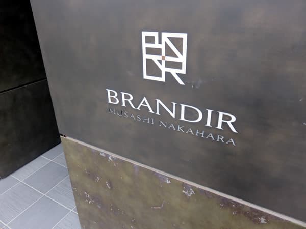 ブランディア武蔵中原 10