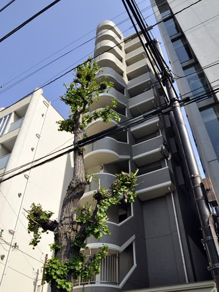 アーバンパレス目白台 2