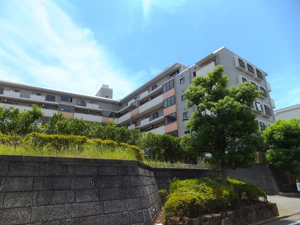 江田ロビニア 4