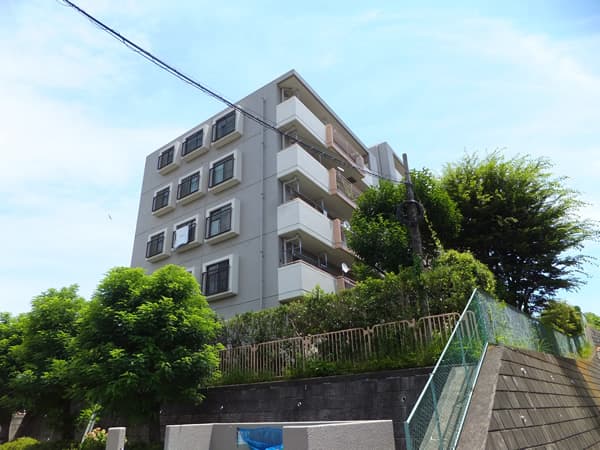 江田ロビニア 5