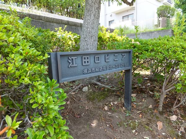 江田ロビニア 8