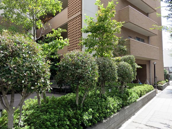 グランガーデン相模大野 6