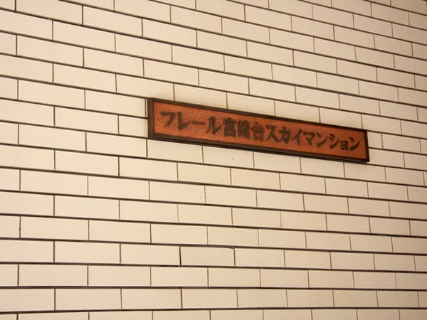 フレール宮崎台スカイマンション 12