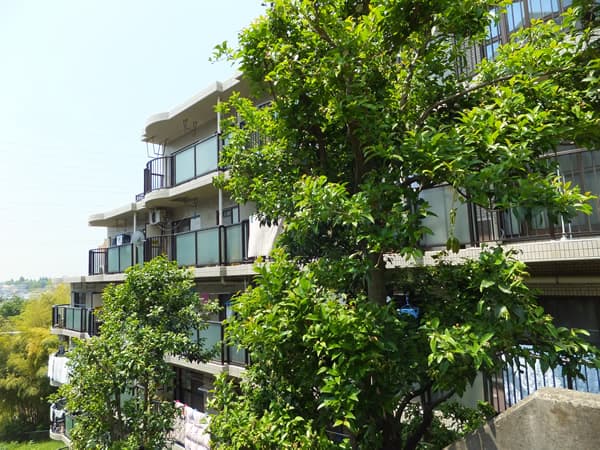 扶桑ハイツたまプラーザの杜 3