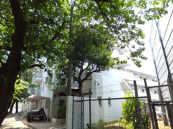 グレイスたまプラーザ 4