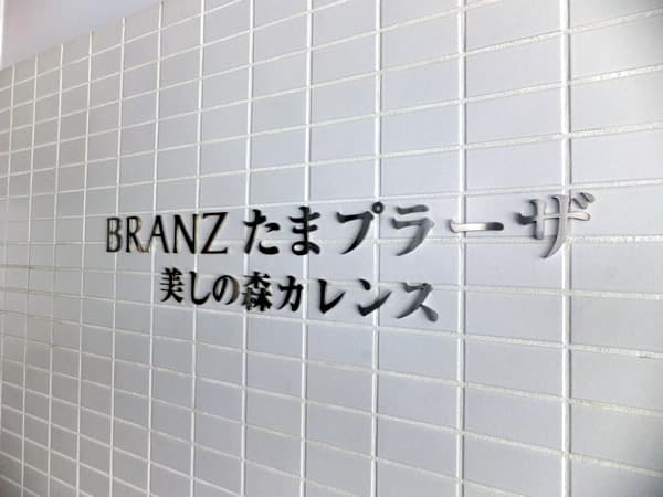 ブランズたまプラーザ美しの森カレンス 9