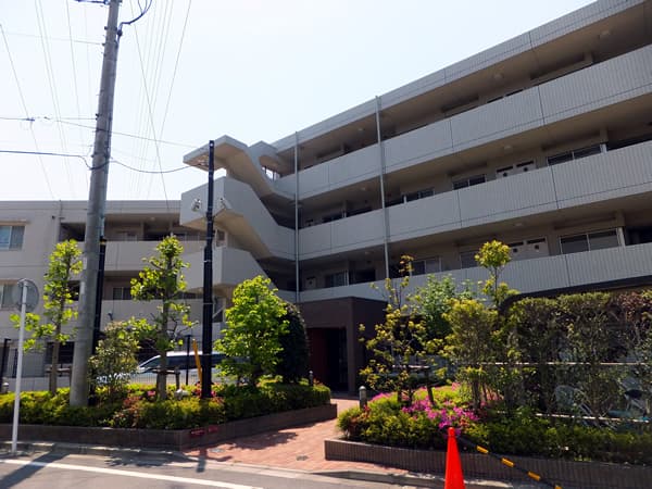 セレアス美しが丘アクティア 3