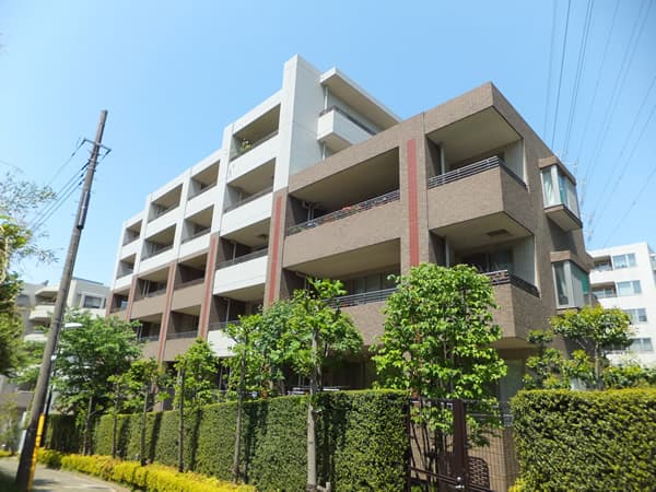 セレアス美しが丘アクティア 5