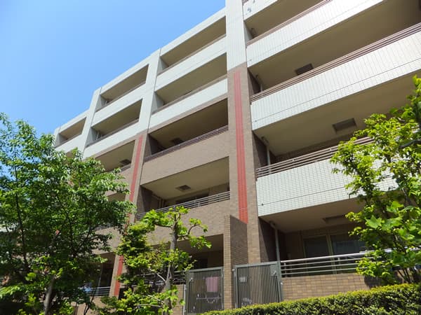 セレアス美しが丘アクティア 8