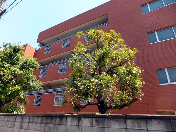 鶴見平和プラザ 5