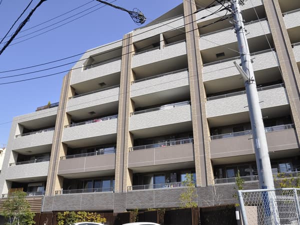 サンクタス菊名リネアストリシア 2