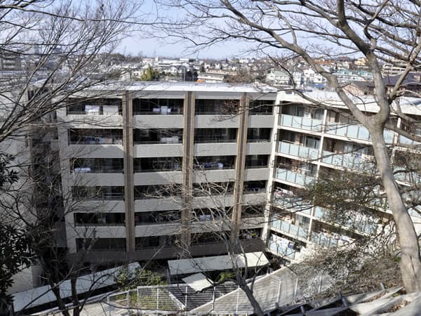 サンクタス菊名リネアストリシア 5