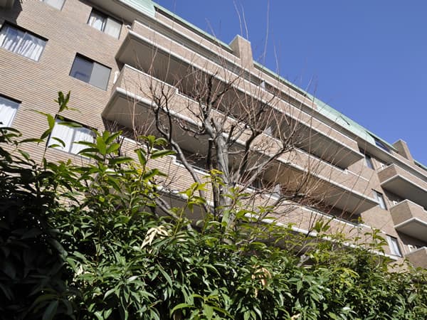 ザ・ヴィスタ妙蓮寺 3