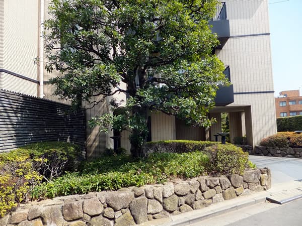 パレロワイヤル目白 4