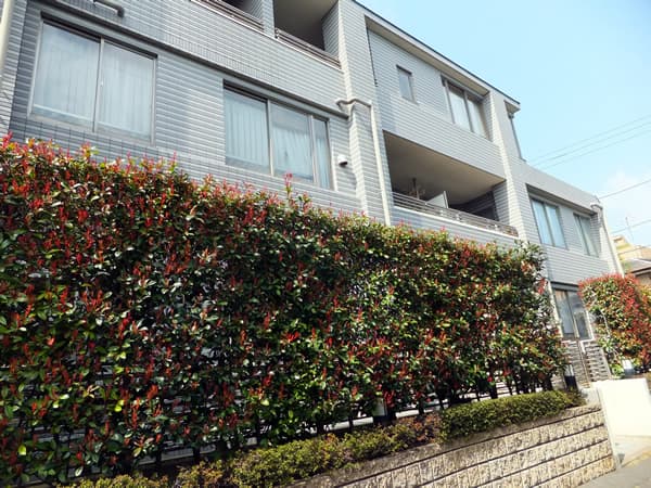 ラヴィドール目白 2