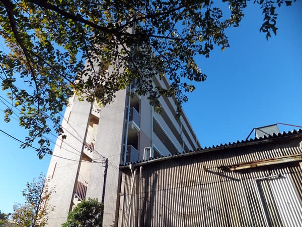 レクシオ綱島 3