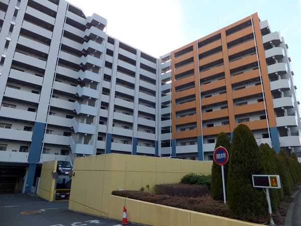 カウンテスコートアクシスコート 4