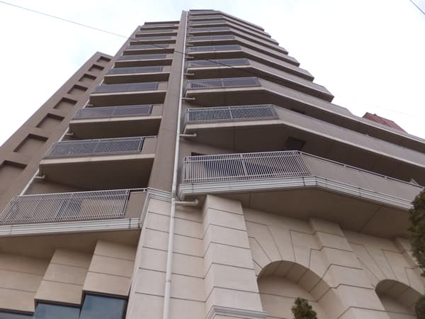 ドラゴンマンション成瀬1番館 1