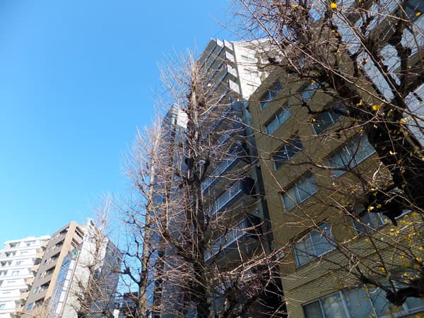 千駄ヶ谷フラワーマンション 2