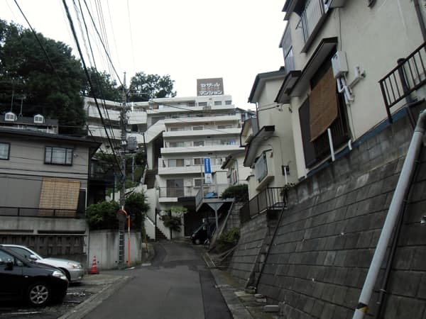 セザール鶴川ガーデンヒルズ 2