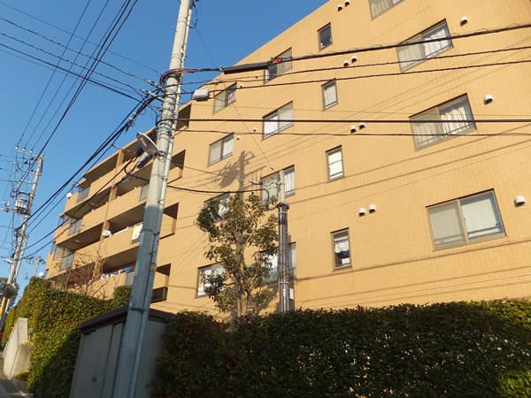 ルピナス生田 5