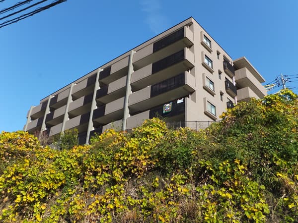 生田ビューフォルム 1