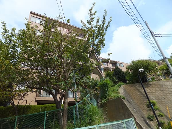 ナイスグランドステージ大倉山 5