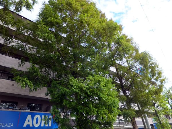 東急ドエルアルス大倉山東 4