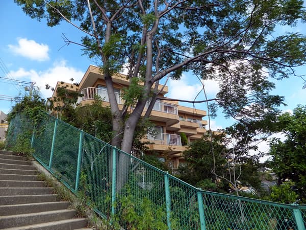 ハイラーク大倉山ファーストウイング 3