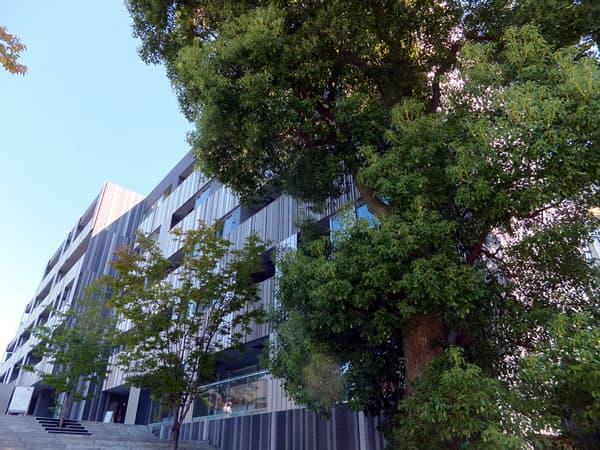 パークコート神楽坂 2