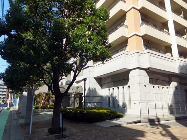 アリビオーレ神楽坂 5