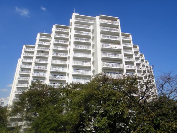 多摩リバーサイドハウス 1