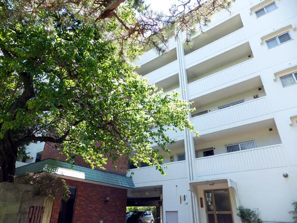 上野毛マープル松原 7