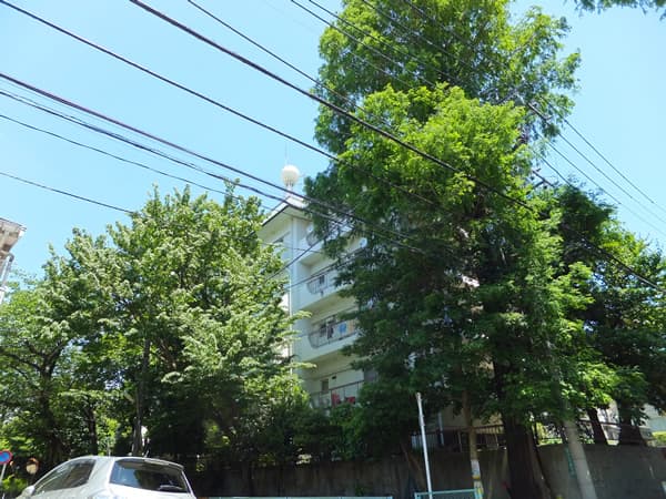 第2上野毛マープル松原 3