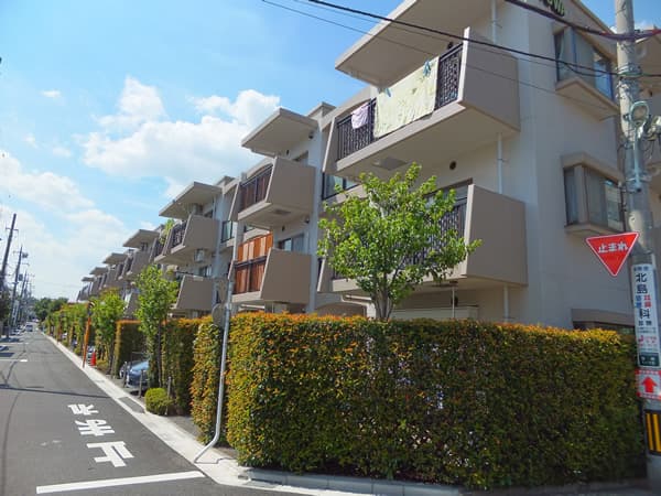 藤和ライブタウン平和台ザ・パティオ 1