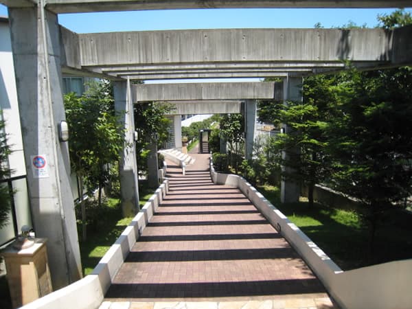 マイキャッスル生田ゴザル・デ・ヴィーダ 6