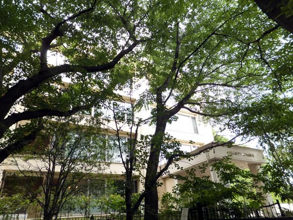 パレスドレオナール2 3